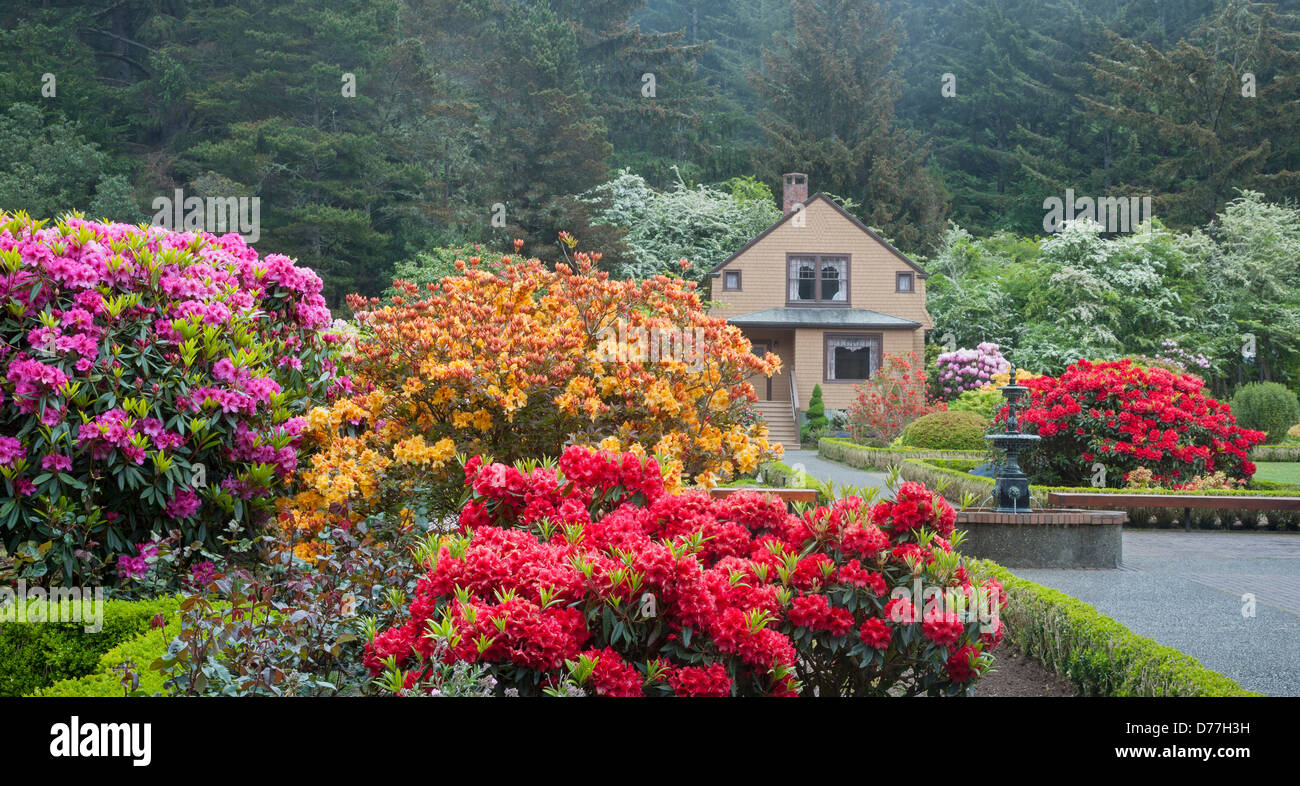 Shore Acres State Park, OR: The Simpson Estate Haus und Garten im Frühling mit Azaleen und Rhododendren in voller Blüte. Stockfoto
