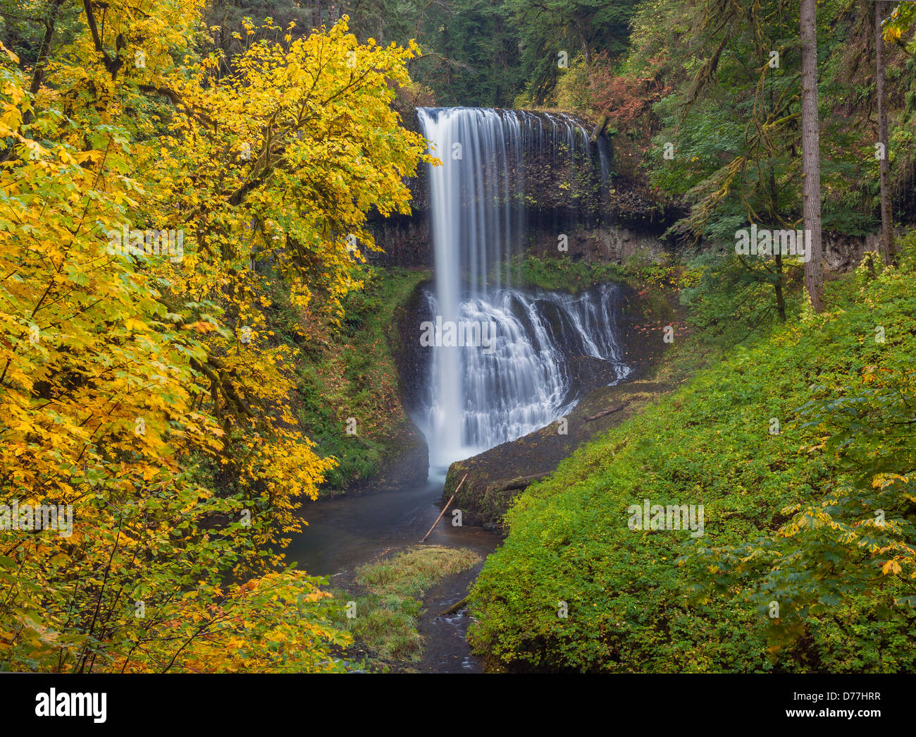 Silver Falls State Park, OR: Mittlerer Norden fällt (106 ft) in Silver Creek Canyon im Herbst Stockfoto