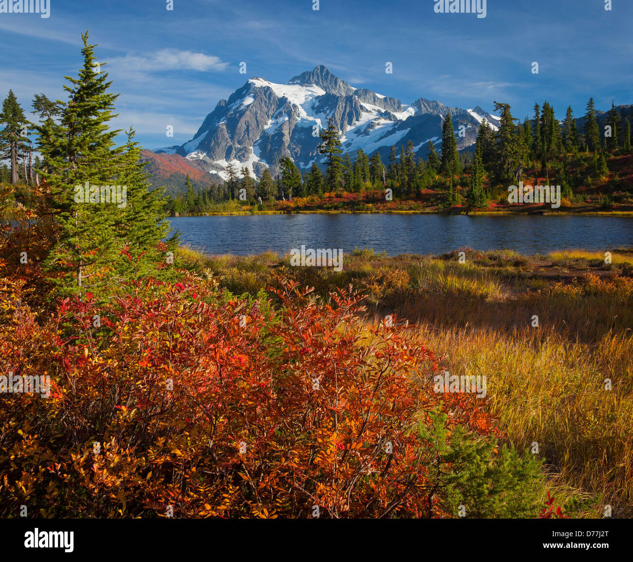 Mount Baker-Snoqualmie National Forest, WA: Herbstfarben im Bild Lake mit Mount Shuksan Stockfoto