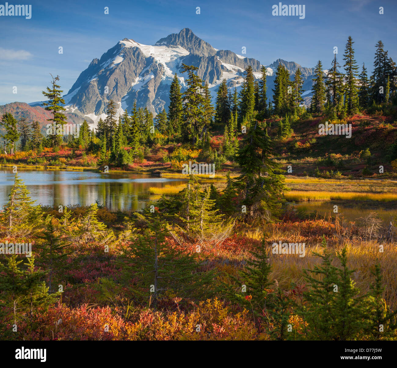 Mount Baker-Snoqualmie National Forest, WA: Herbstfarben im Bild Lake mit Mount Shuksan Stockfoto