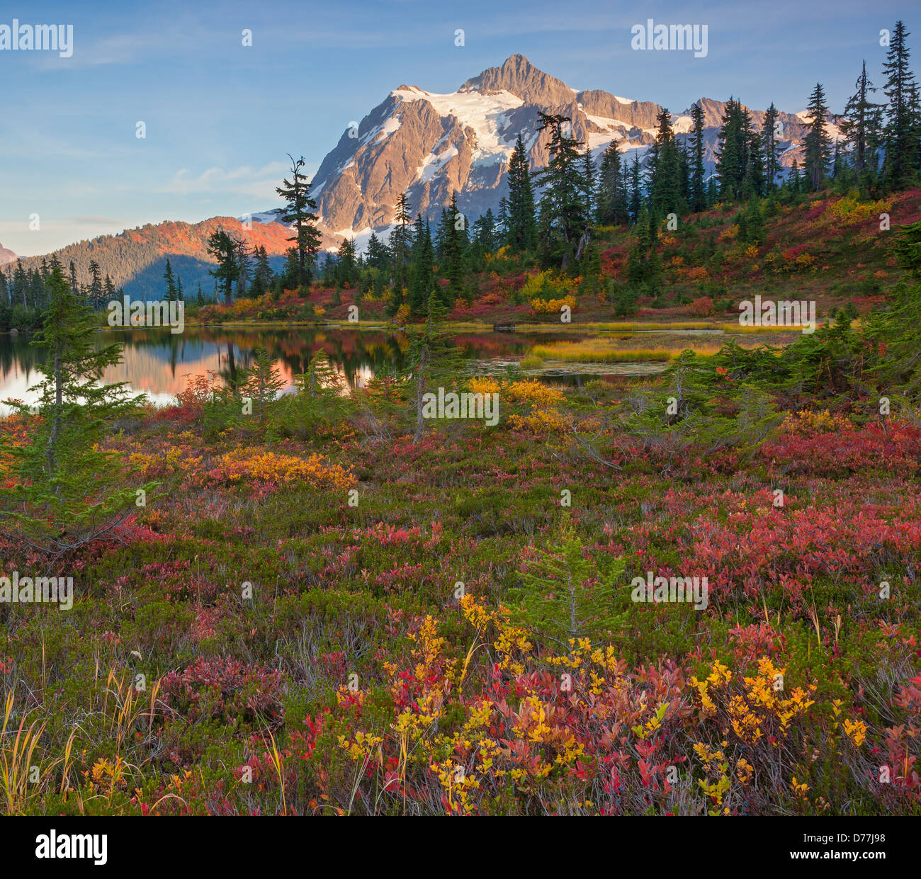 Mount Baker-Snoqualmie National Forest, WA: Herbstfarben im Bild Lake mit Mount Shuksan Stockfoto