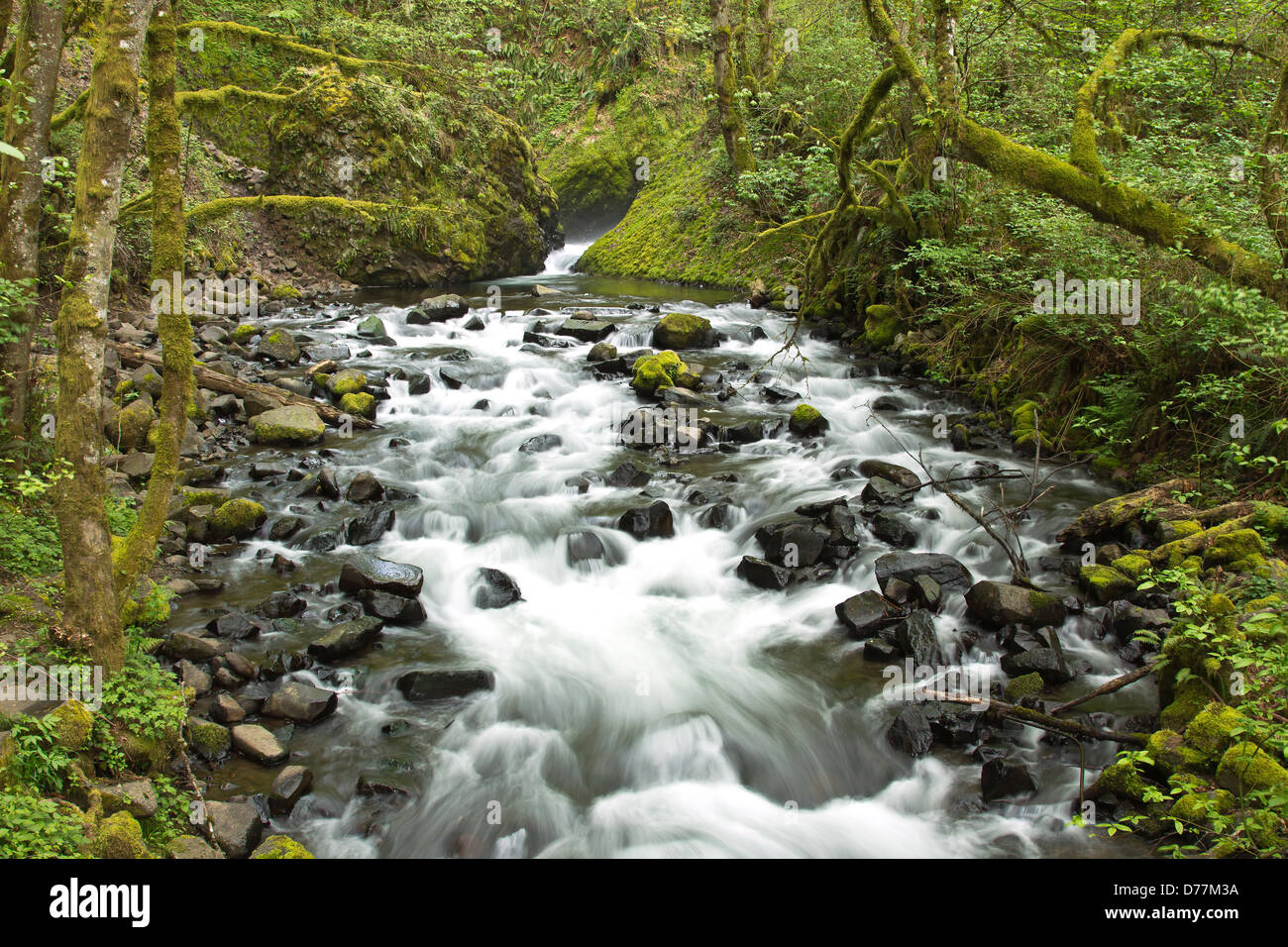Frische Frühlingsluft Wasserstrom Columbia River Gorge Oregon. Stockfoto