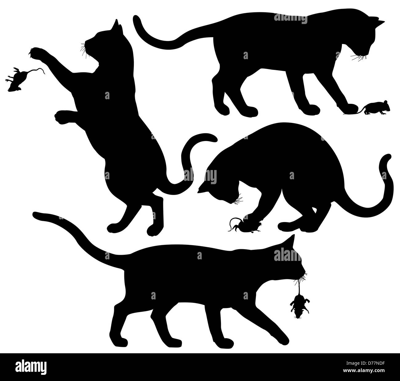 Vier illustrierten Silhouetten der eine Katze mit einer Maus spielt Stockfoto