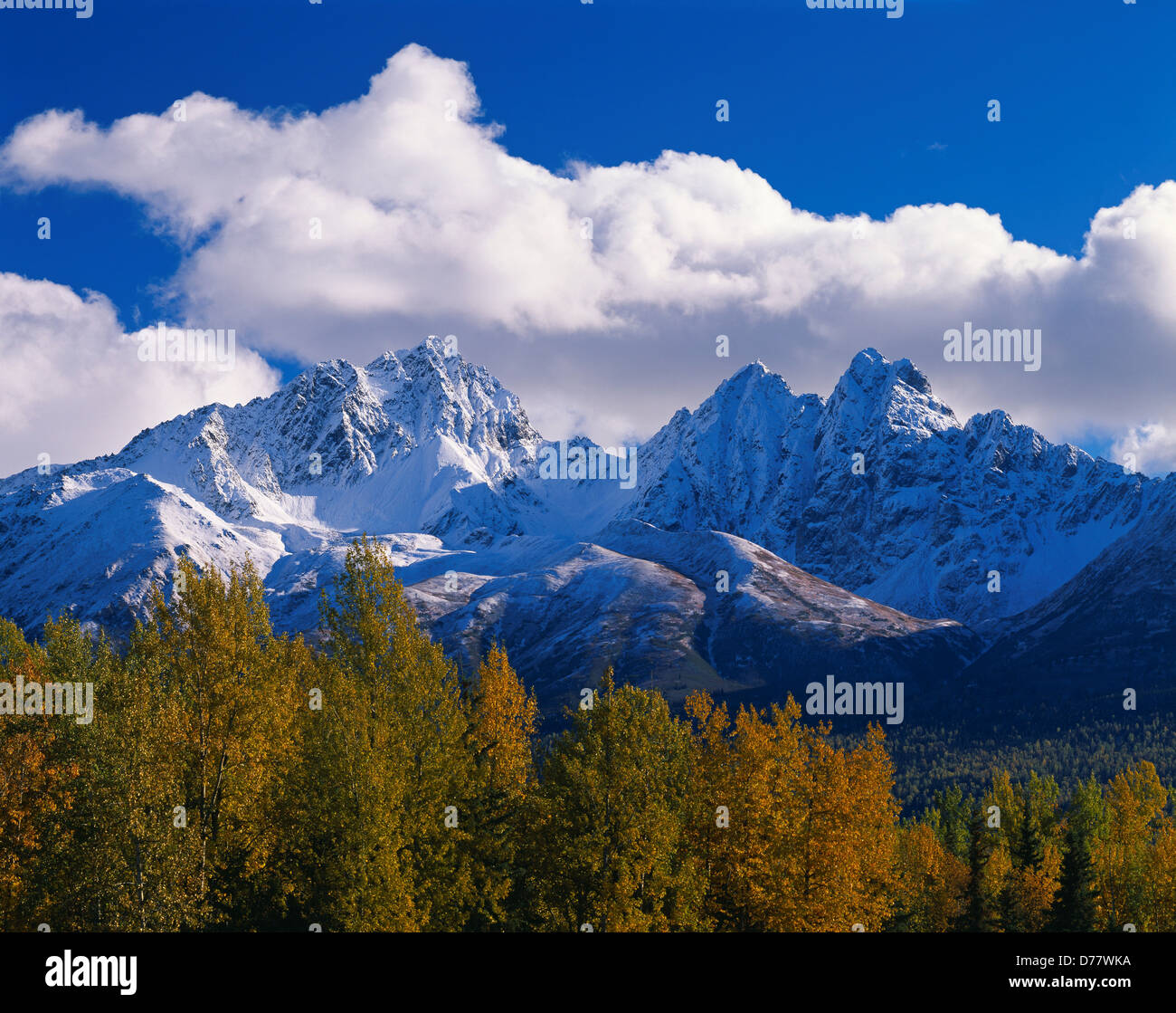 East West Twin Peaks Chugach Range bedeckt Herbst "Kündigung Staub golden Balsam-Pappeln entlang Knik River Alaska. Stockfoto