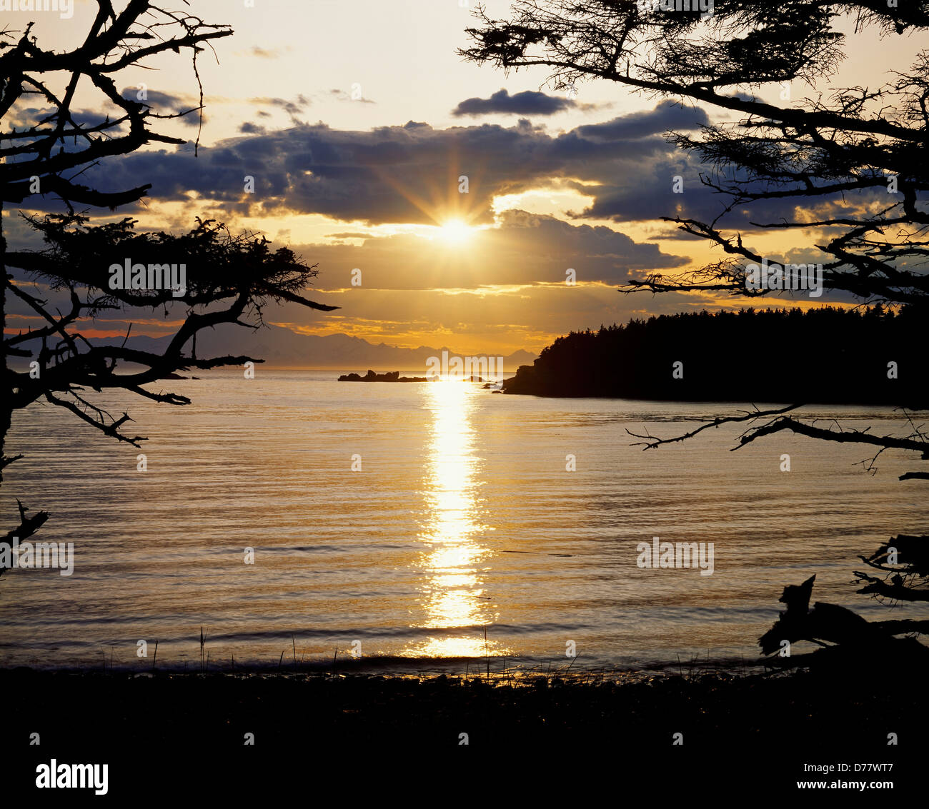 Sonnenuntergang über Shelikof Strait umrahmt von Sitka-Fichte auf Shuyak Island Teil Kodiak Archipel Shuyak Island State Park Stockfoto