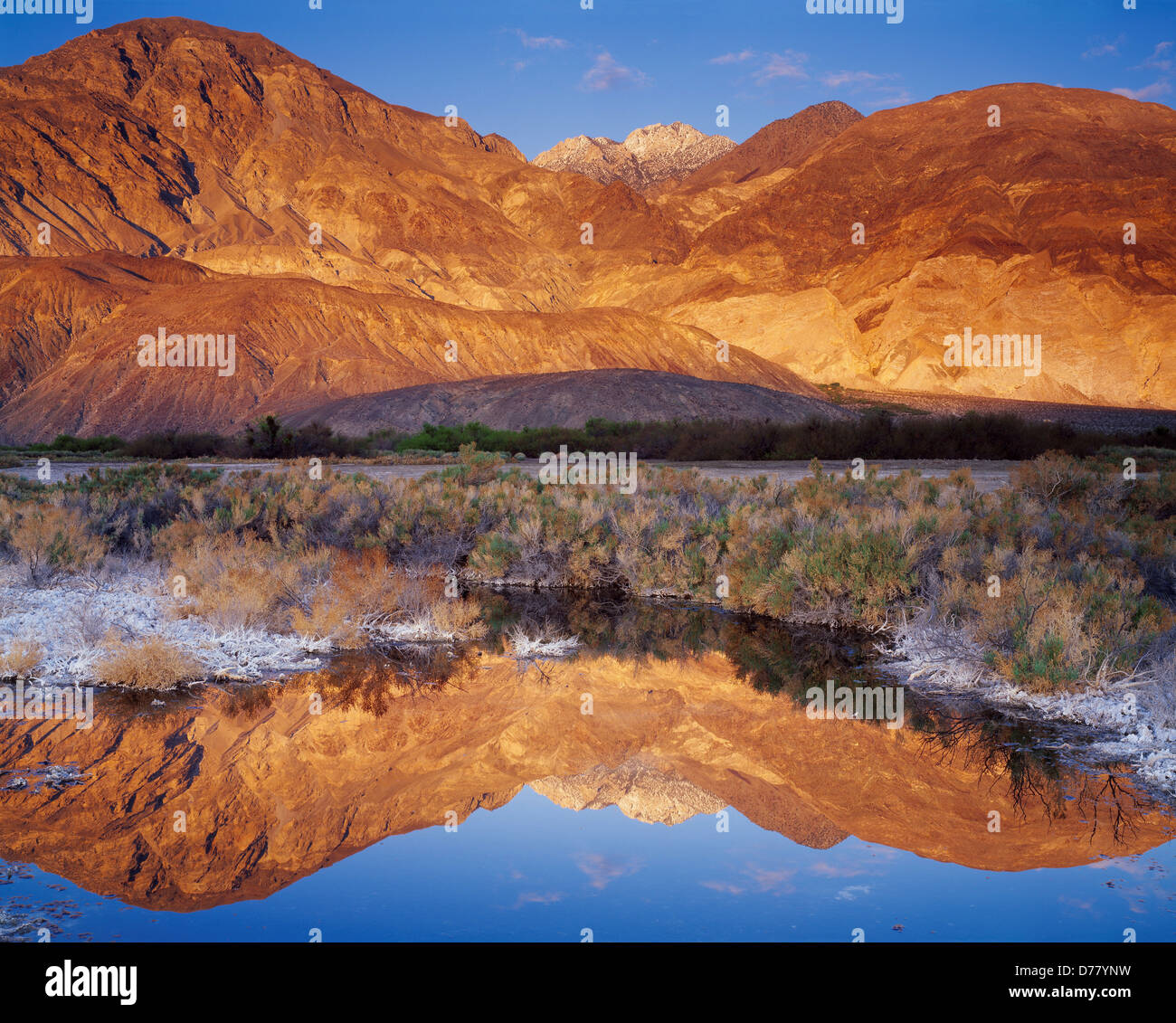 Inyo Berge spiegeln sich in salzigen Teich entlang Ufer Saline Valley Salt Lake-Death Valley Nationalpark in Kalifornien. Stockfoto