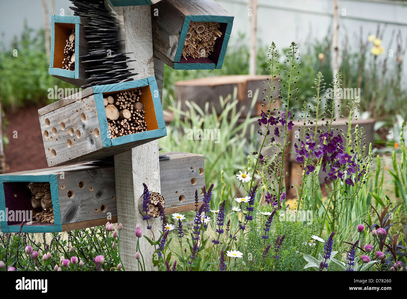 Chelsea Flowershow 2009, Zukunft Naturgarten, entworfen von Arche Design mit Boxen Insekten Lebensraum bietet. Stockfoto