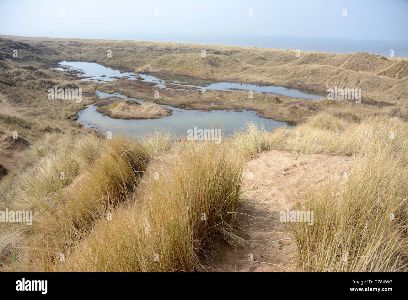 Die Sefton Küste Special Area of Conservation umfasst 4.500 Hektar Strand und Dünen Lebensräume, wo saisonale Teiche Form Stockfoto