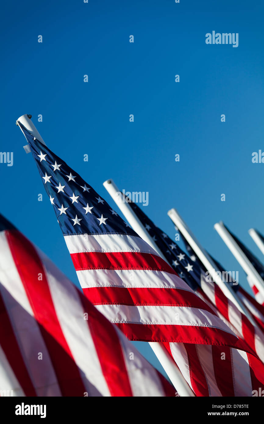 USA-Flaggen in einer Reihe - amerikanische Flaggen aufgereiht, erschossen abgewinkelten unter blauem Himmel Stockfoto