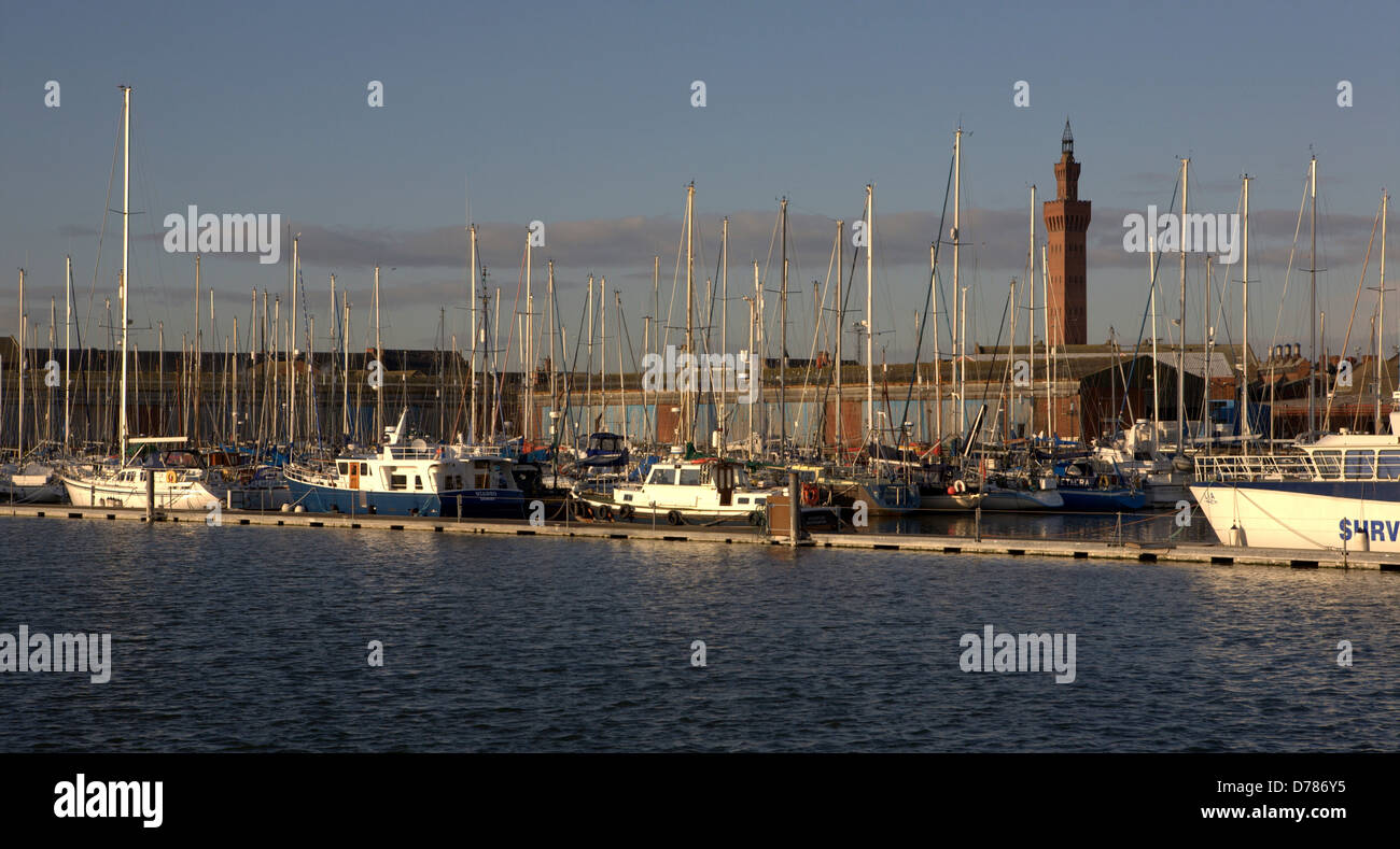 Grimsby Dock Tower ist ein Hydrospeicher-Turm und ein maritimes Wahrzeichen in Grimsby, North East Lincolnshire, England. Stockfoto