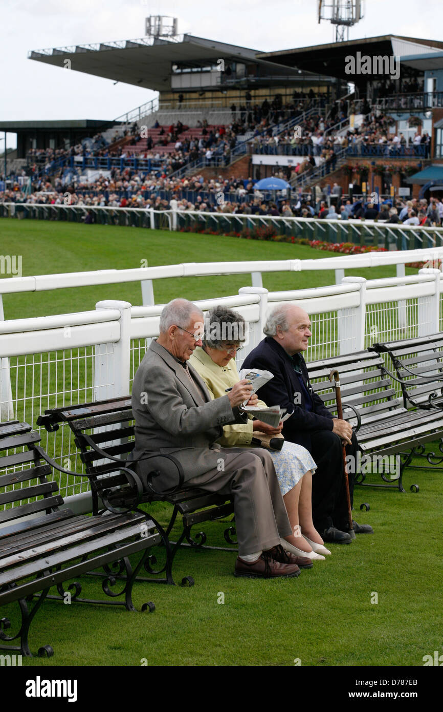 Beverley Racecourse - Pferd Rennen treffen, East Yorkshire, UK Stockfoto