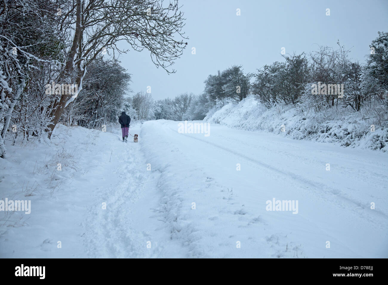 Spaziergang mit dem Hund an einem kalten Wintertag Stockfoto