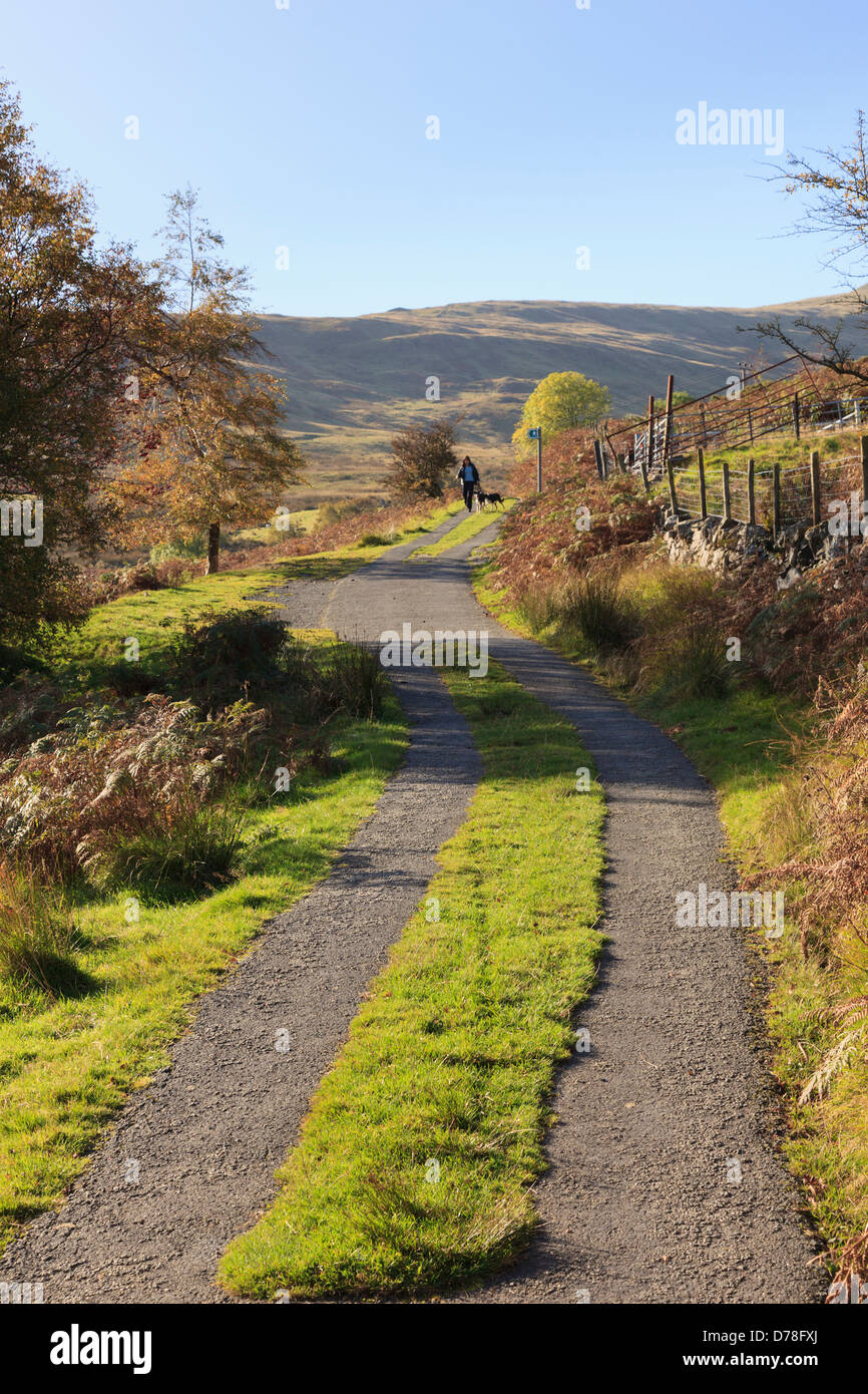 Feldweg führt bergauf mit Grass aufgewachsen mitten im Snowdonia National Park, North Wales, UK, Großbritannien Stockfoto