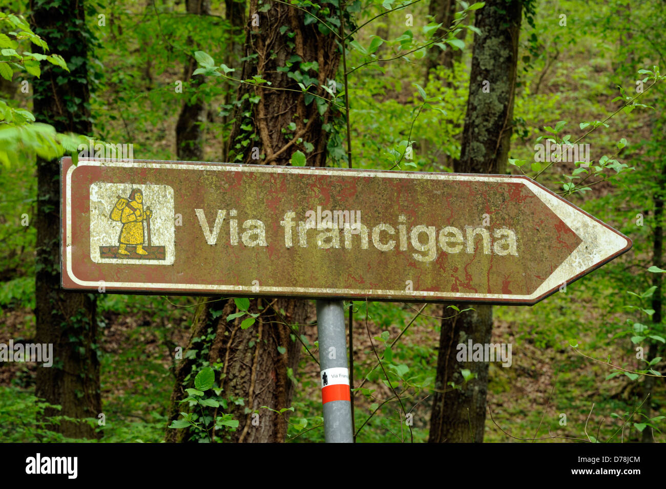 Italien, Latium, Via Francigena bei Bolsena Stockfoto