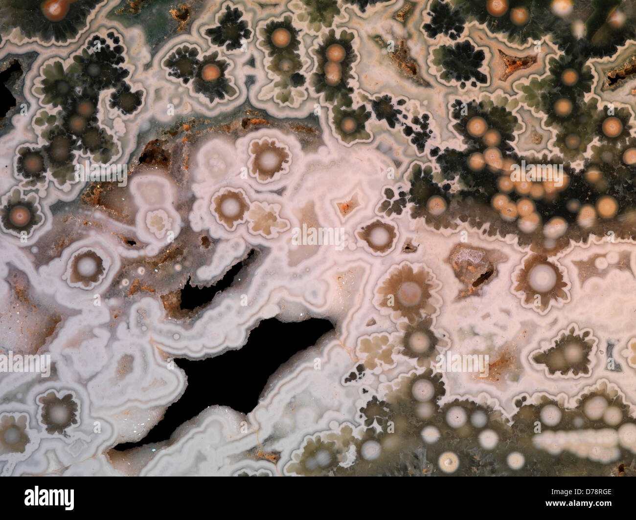 Slab Ocean Jaspis auf in der Nähe von Dorf Marovato an der Nordwestküste Madagaskars gefunden. Stockfoto