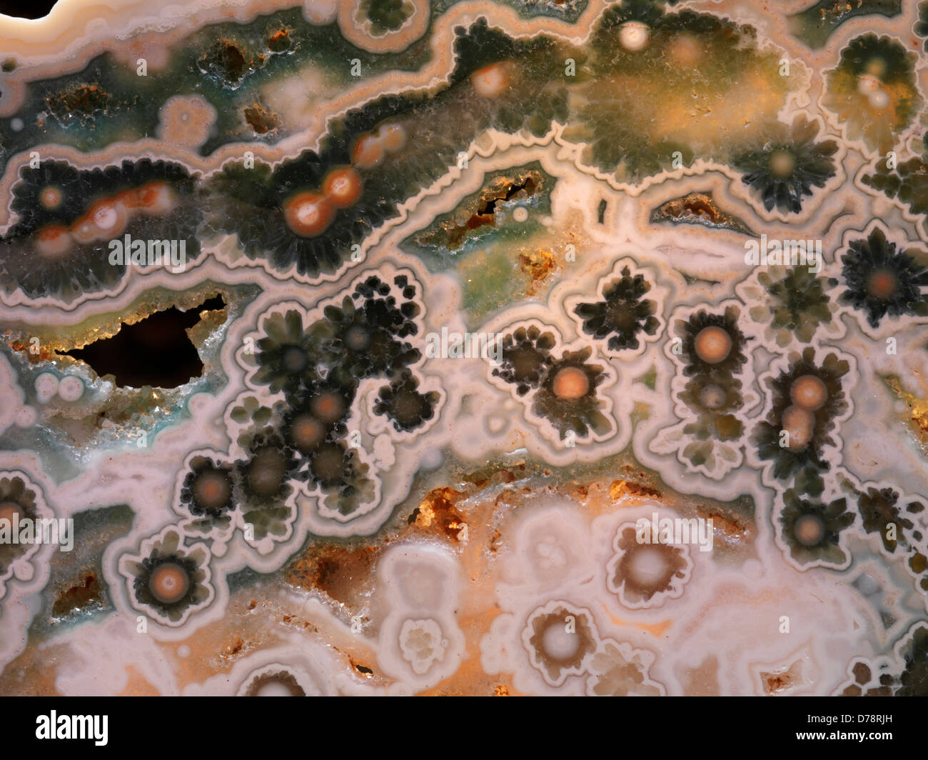 Slab Ocean Jaspis auf in der Nähe von Dorf Marovato an der Nordwestküste Madagaskars gefunden. Stockfoto
