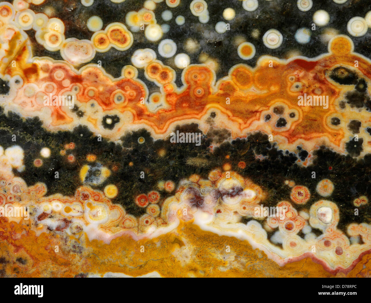 Slab Ocean Jaspis auf in der Nähe von Dorf Marovato an der Nordwestküste Madagaskars gefunden. Stockfoto