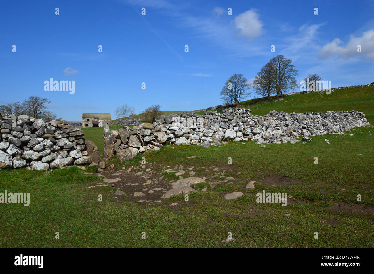 Stil in trockenen Steinwand nahe Grassington auf Dales so Long Distance Fußweg Wharfedale Yorkshire Stockfoto