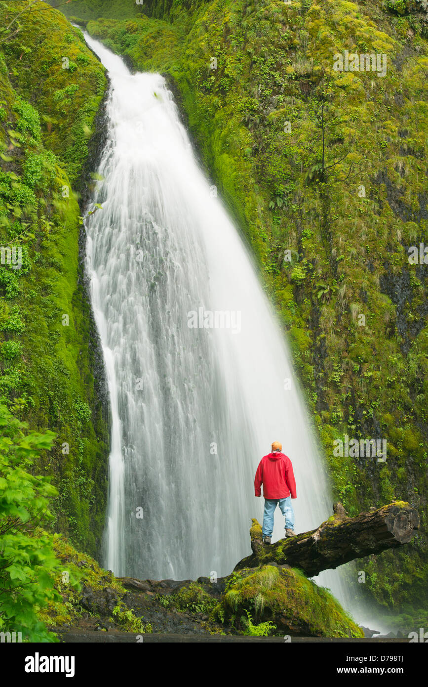 Mann unter Wahkeena Falls, Columbia River Gorge, Oregon, APRIL Stockfoto