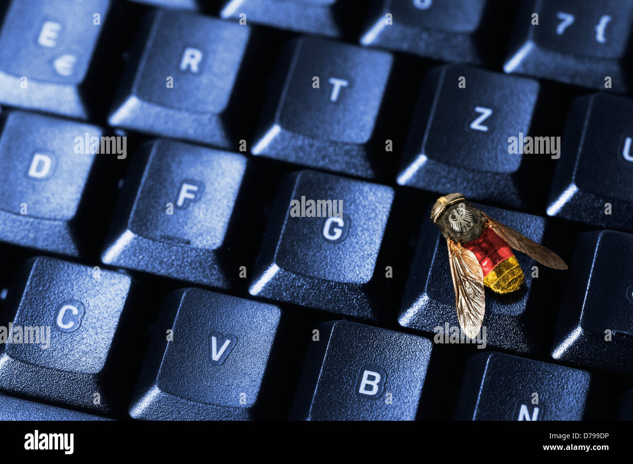 Fliegen auf der Computertastatur, symbolische Foto Bundes Trojaner, Fliege Auf Computertastatur, Symbolfoto Bundestrojaner Stockfoto