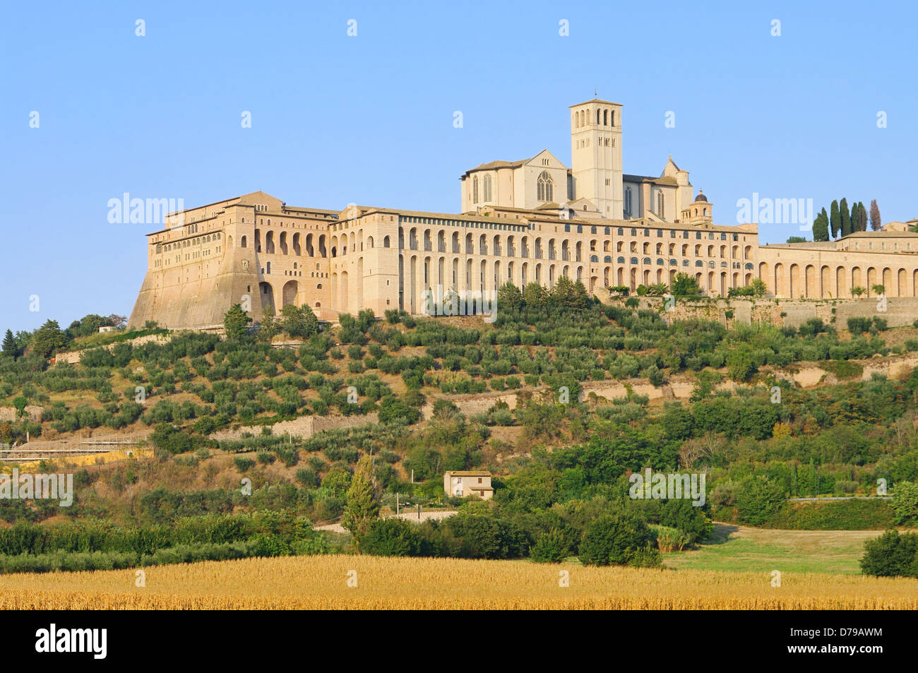 Assisi 03 Stockfoto