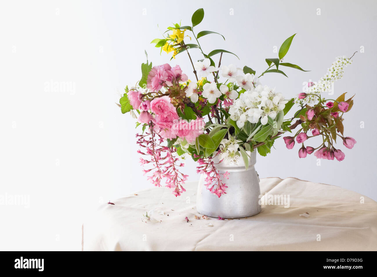 Spring Blossom in Vase, Still Life Fotografie. Stockfoto