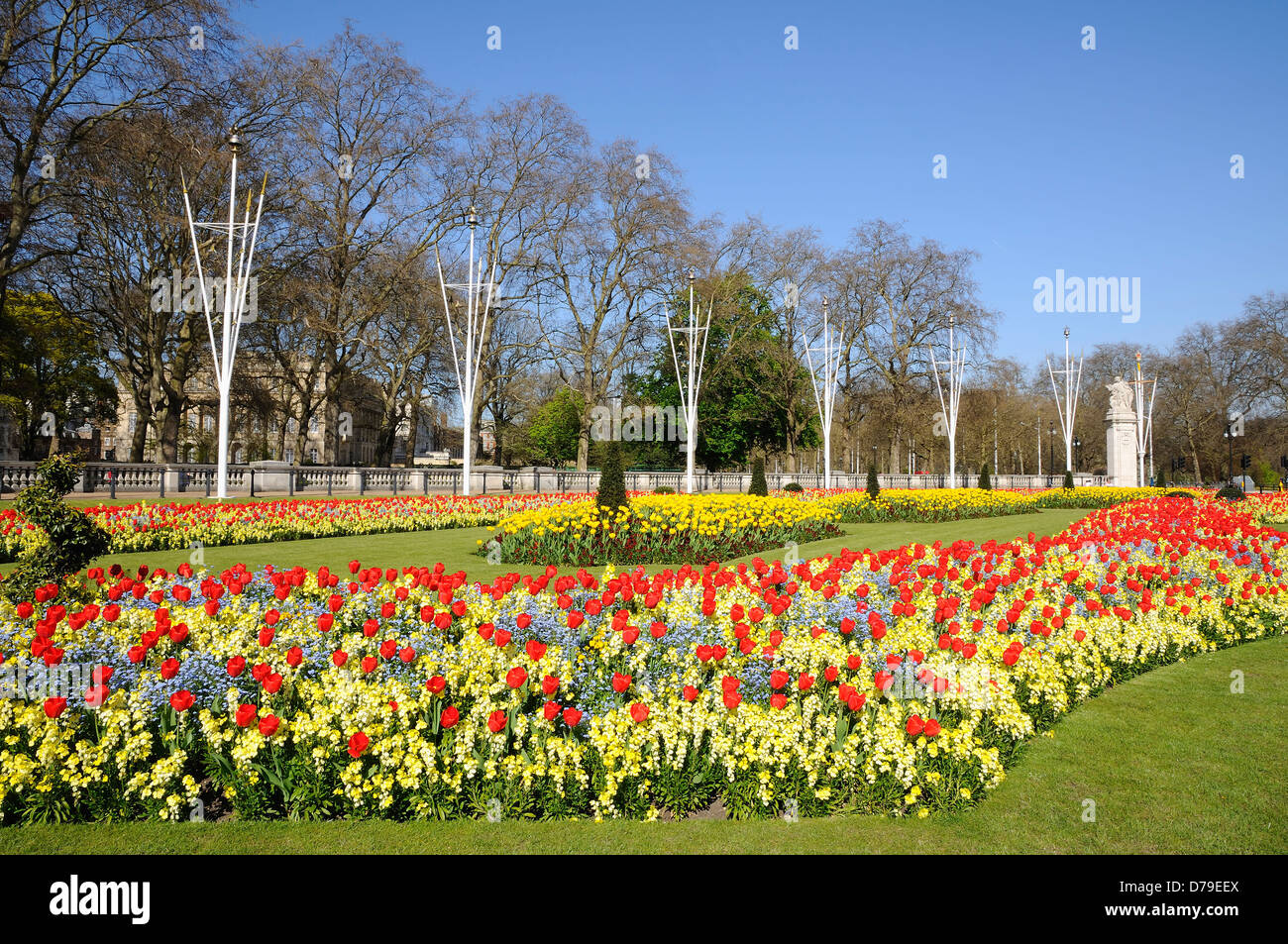 Tulpen in der Nähe von Buckingham Palace am Rande des Green Park, London UK, im Frühling Stockfoto