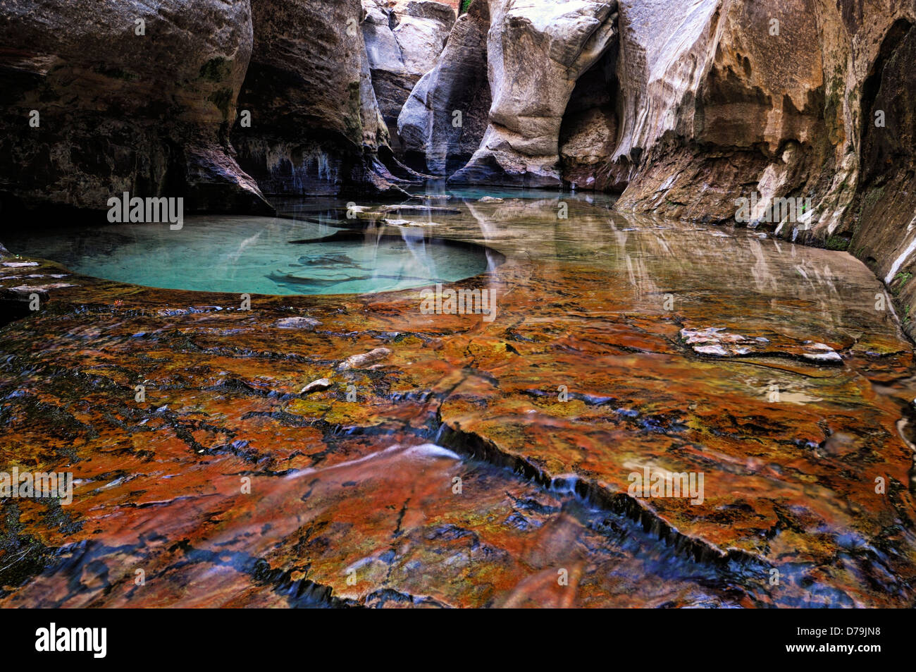 Die U-Bahn links Gabel North Creek River Zion Nationalpark Utahs Rock Pool Pools geschnitzt Sandstein unterirdischen Canyon tunnel Stockfoto