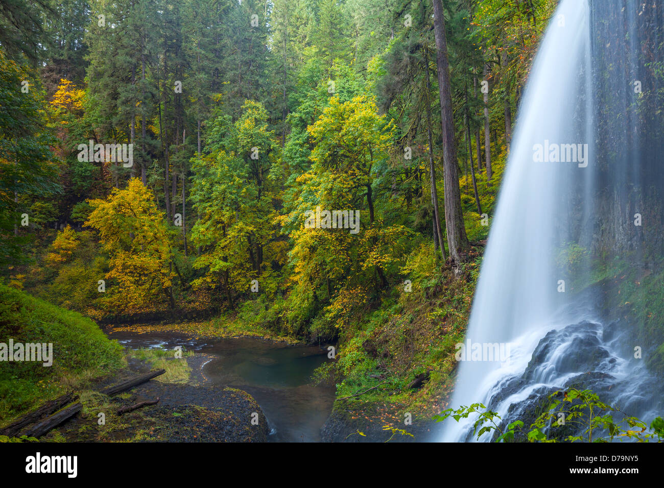 Silver Falls State Park, OR: Ansicht von hinten Mitte Norden fällt (106 ft) in Silver Creek Canyon im Herbst Stockfoto