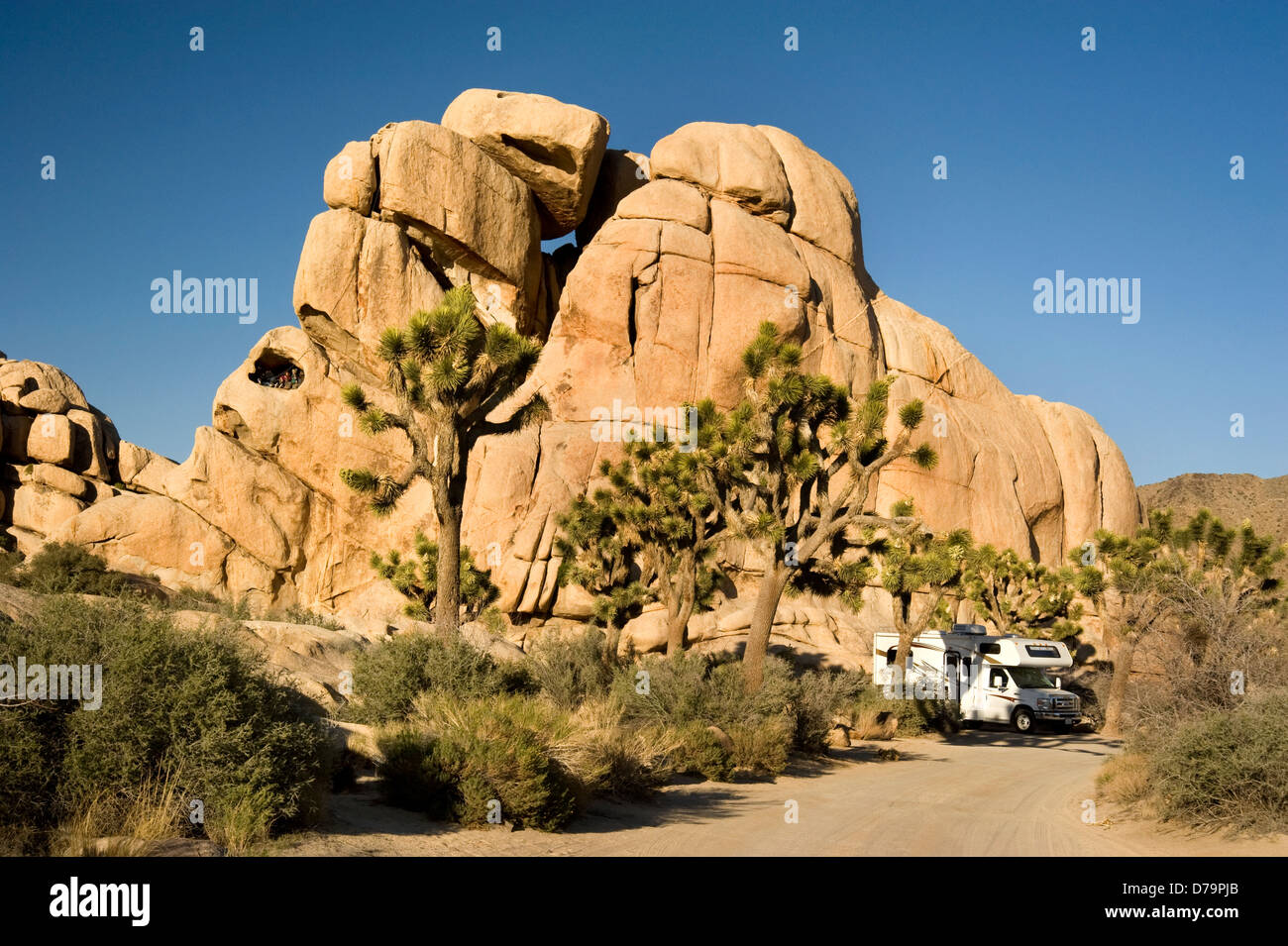 WohnmobilParke in Campingplatz im Joshua Tree National Monument