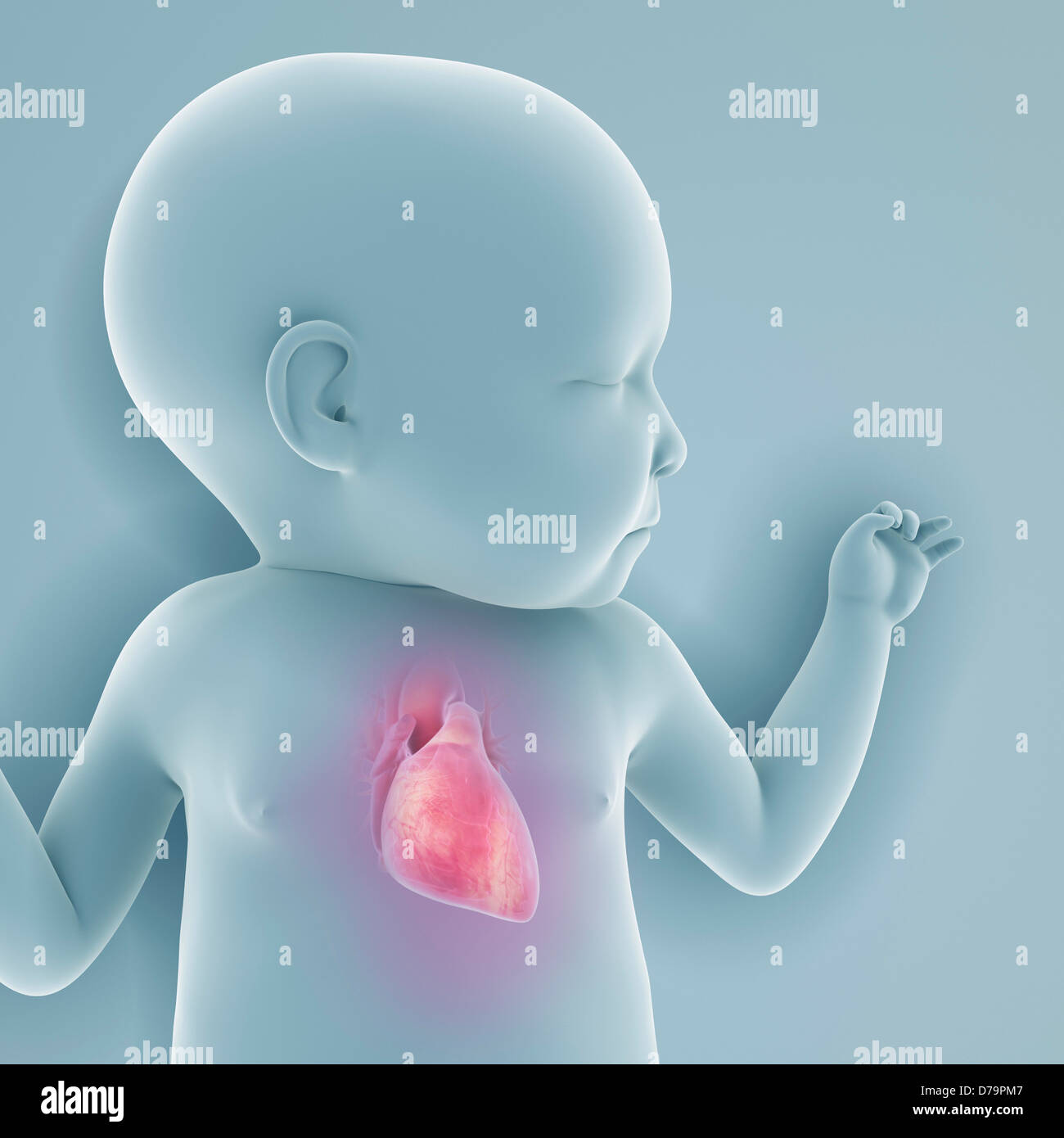 Neugeborenen Anatomie Stockfoto