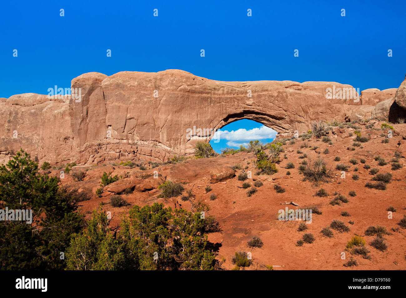 Fensterbogen im Arches-Nationalpark, Utah, Vereinigte Staaten Stockfoto