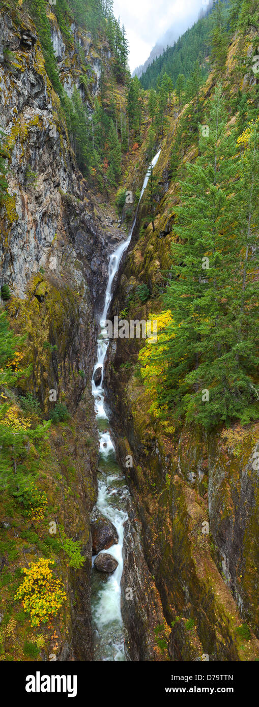 Ross Lake National Recreation Area, Washington: Wasserfälle fließen das Skagit River mit bunten Herbstwald Stockfoto