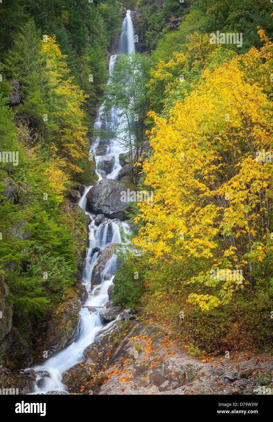 Ross Lake National Recreation Area, Washington: Wasserfälle fließen das Skagit River mit bunten Herbstwald Stockfoto