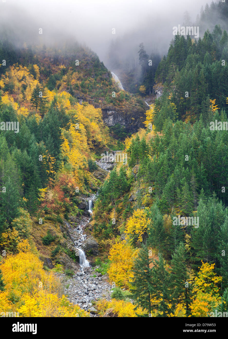 Ross Lake National Recreation Area, Washington: Wasserfälle fließen das Skagit River mit bunten Herbstwald Stockfoto