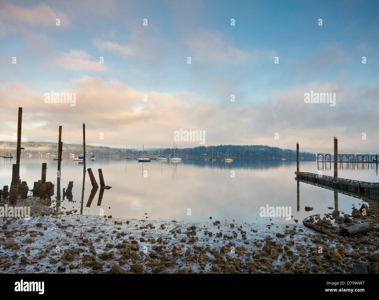 Vashon Island, Washington: Clearing Nebel auf Quartiermeister Harbor, Dockton. Maury Insel Stockfoto