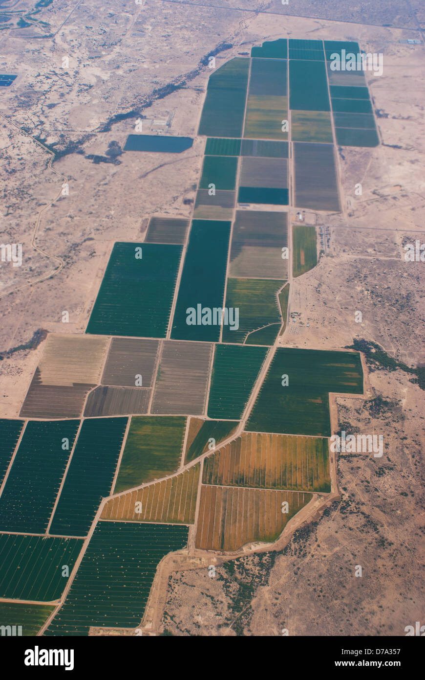 Aerial USA anzeigen groß angelegte landwirtschaftliche Entwicklung Stockfoto