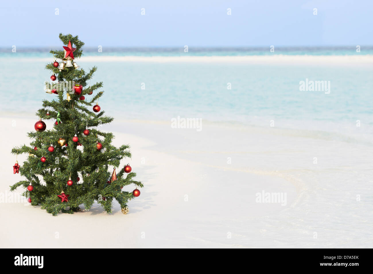 Weihnachtsbaum am schönen tropischen Strand Stockfoto