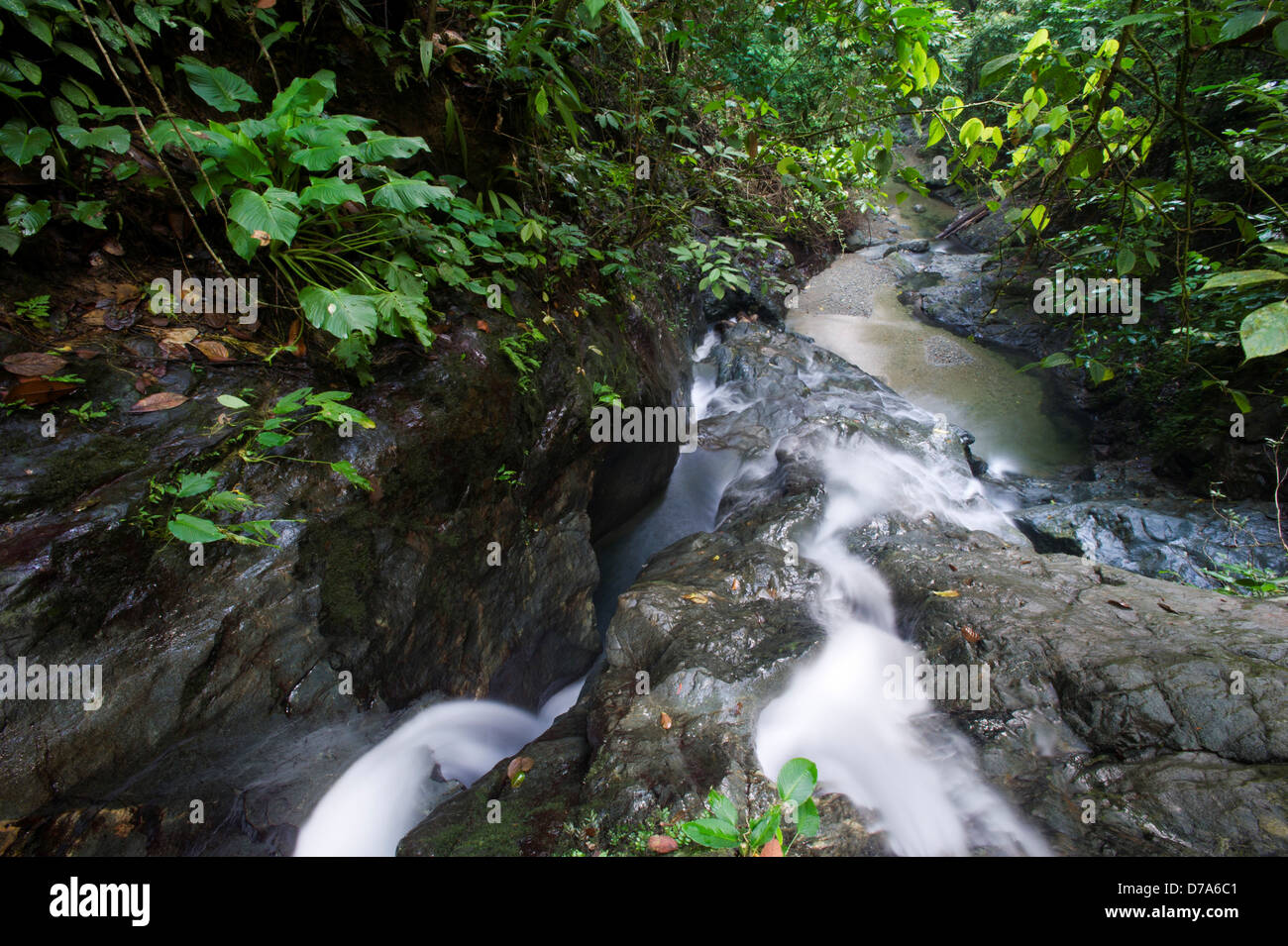 Tumbling Stream im Flachland Dipterocarp Regenwald Danum Valley Sabah State Insel Borneo Malaysia Stockfoto