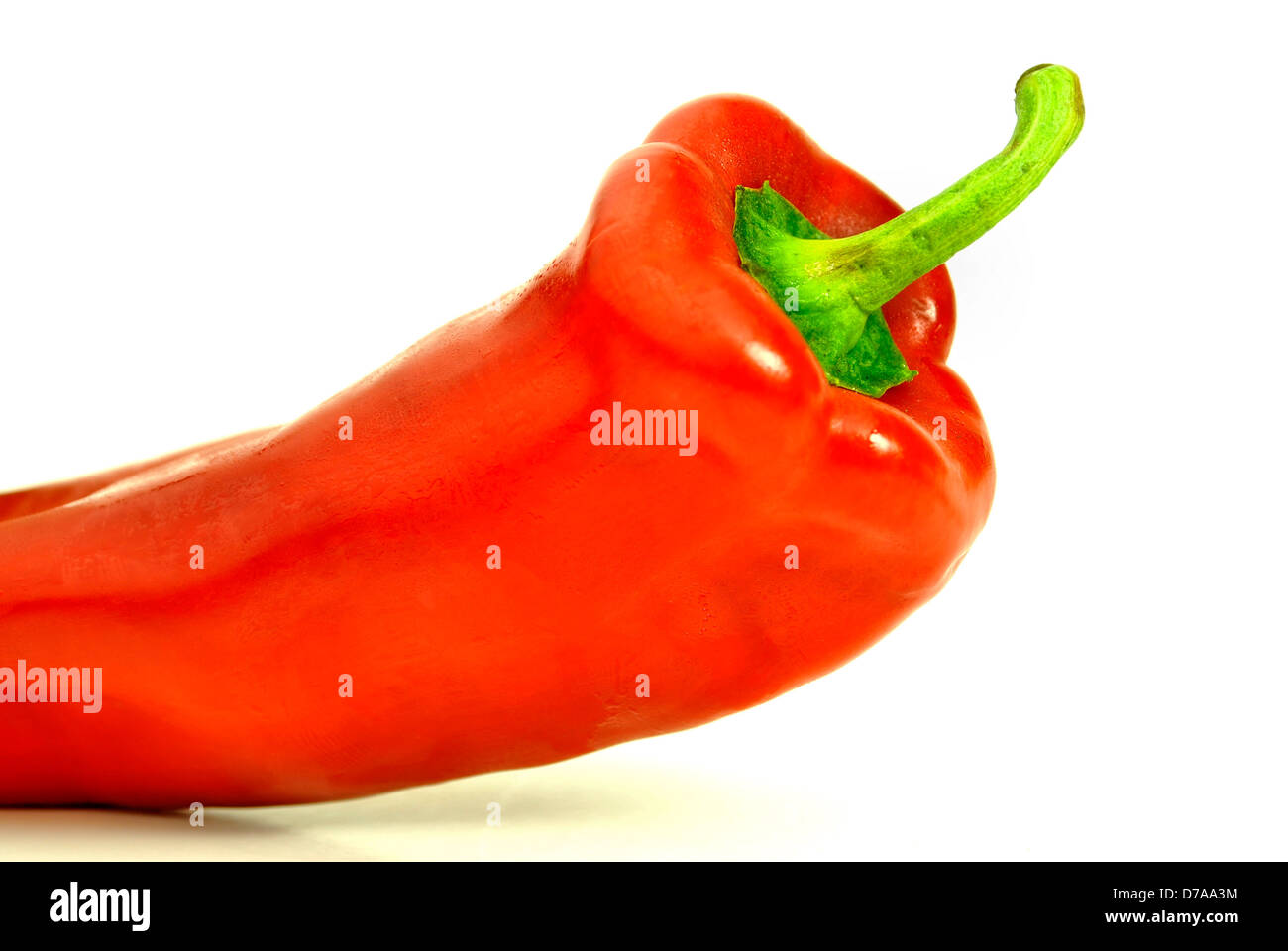 Seitenansicht des Bio rote Paprika Stockfoto