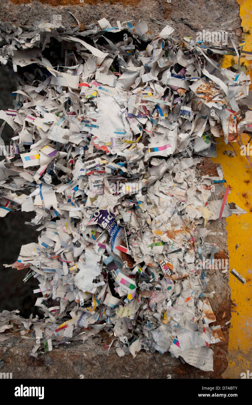 Zerkleinerte Altpapier in Papierfabrik Stockfoto