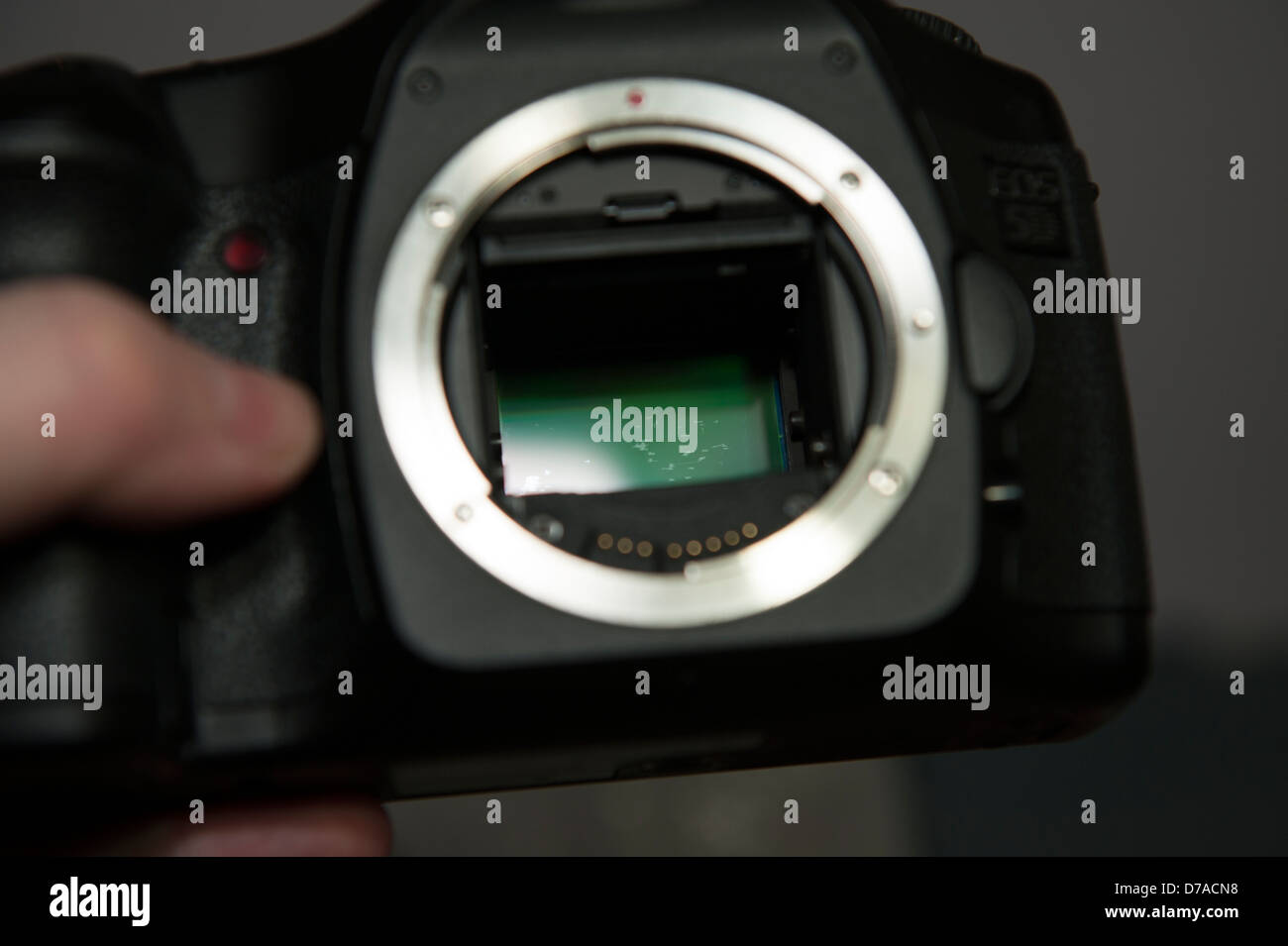 Beschädigte DSLR-Kamera-Sensor verkratzt Stockfoto