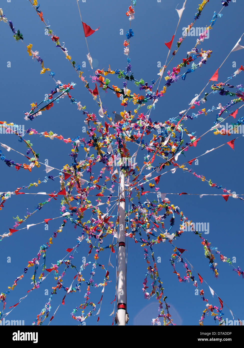 Maibaum in Padstow May Day ' Obby ' Oss Festivaltage, Cornwall, UK 2013 Stockfoto