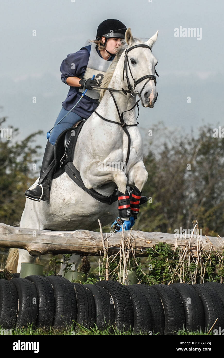 Berks & Bucks Fun Ride in der Berkshire Downs die Zäune springen Stockfoto