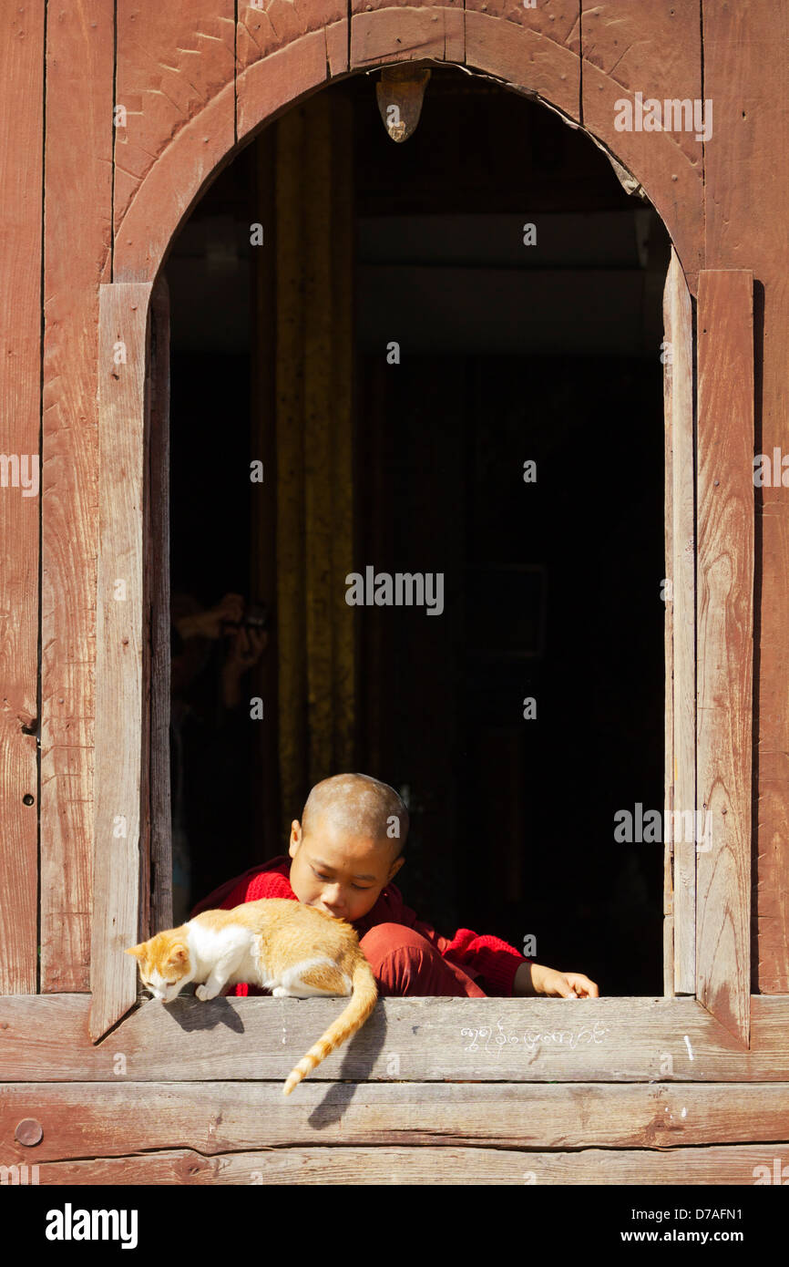 Junger Mönch spielt mit einer Katze in Shwe Yaunghwe Kyaung Kloster, Myanmar 4 Stockfoto