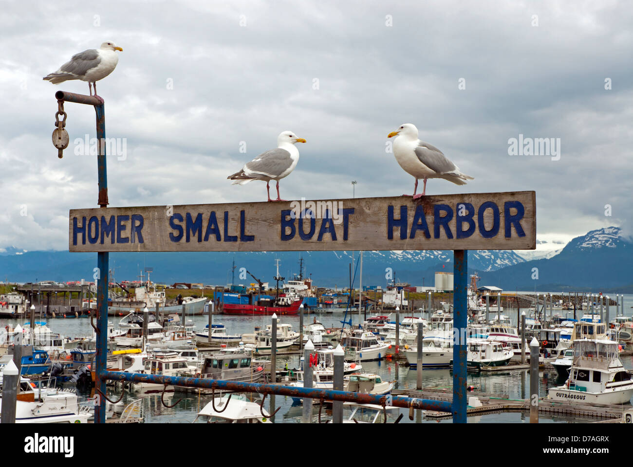 Kleiner Bootshafen in Homer, Alaska Stockfoto