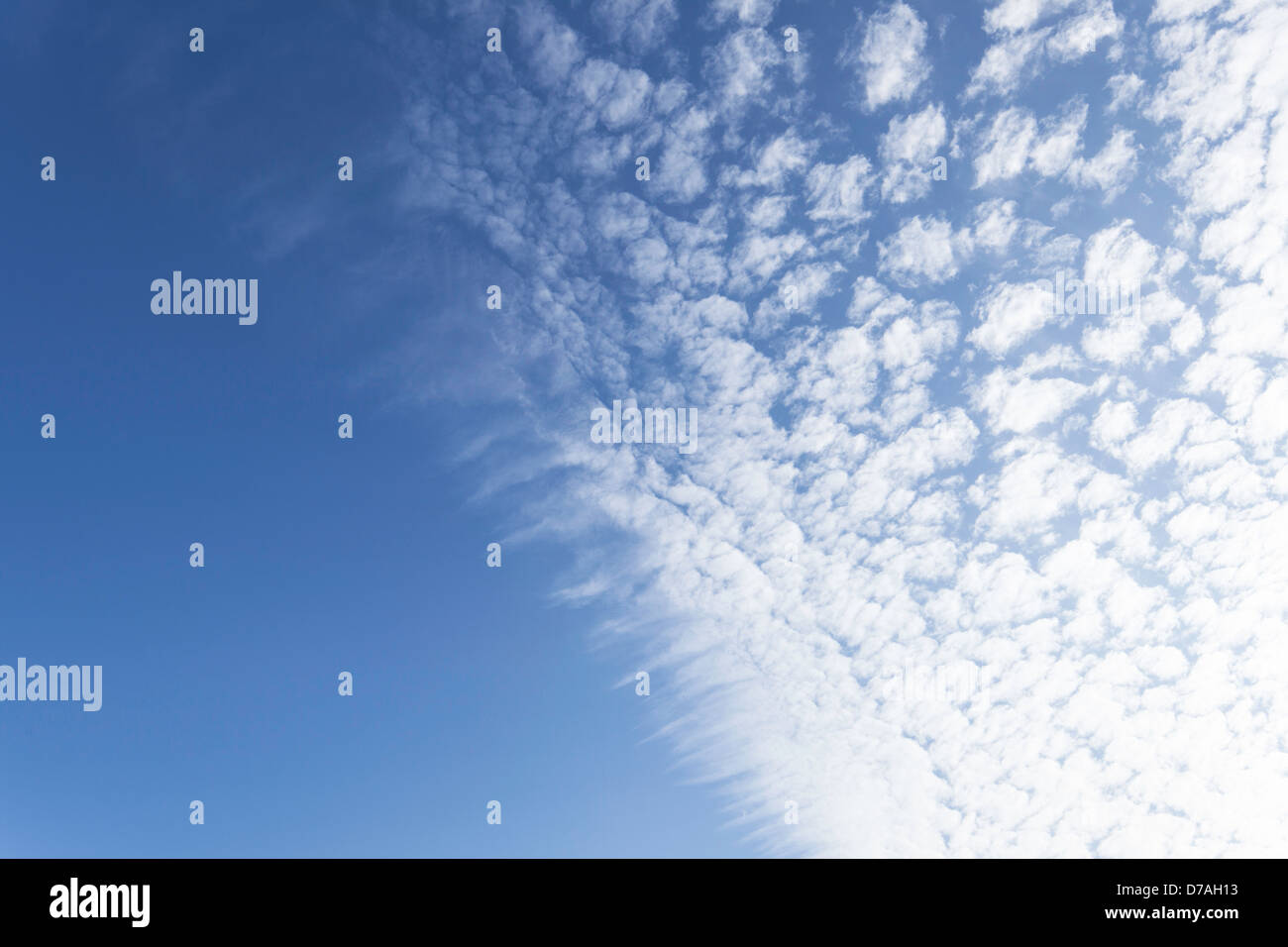 Altocumulus-Wolken Basis Bildung, England, UK Stockfoto