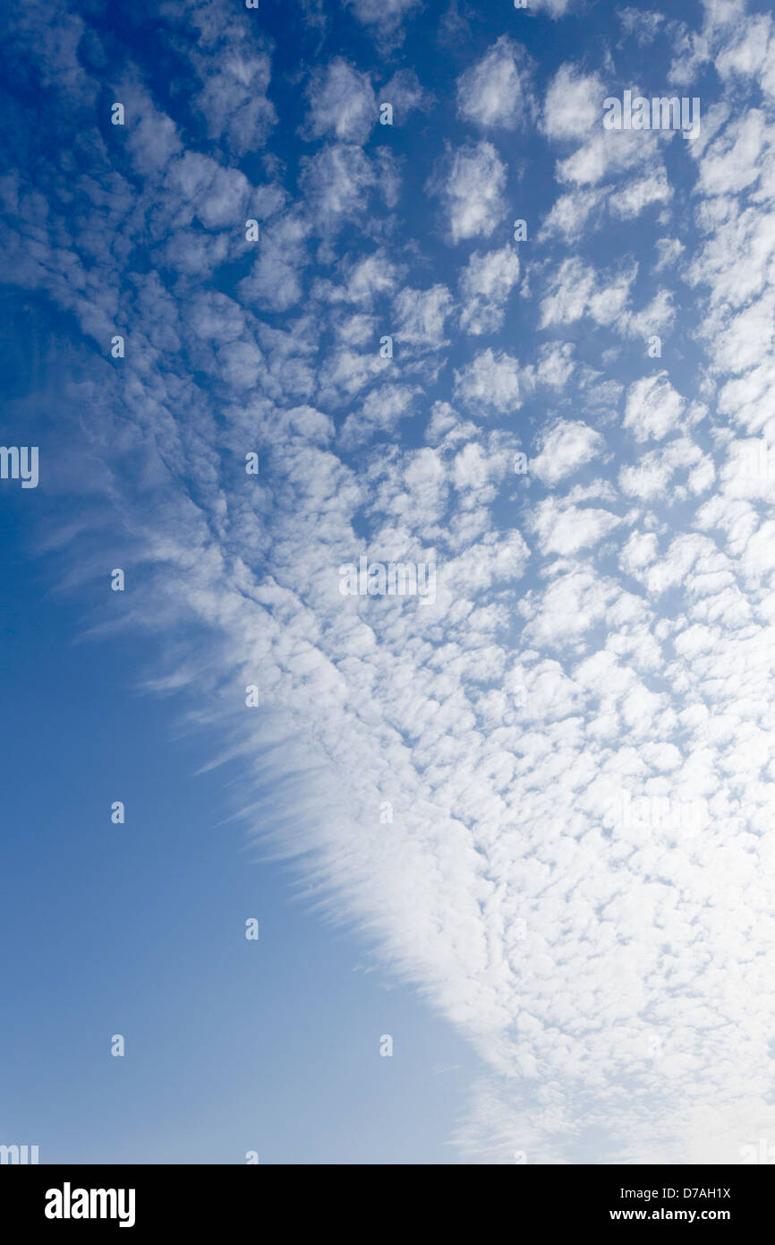 Altocumulus-Wolken Basis Bildung, England, UK Stockfoto