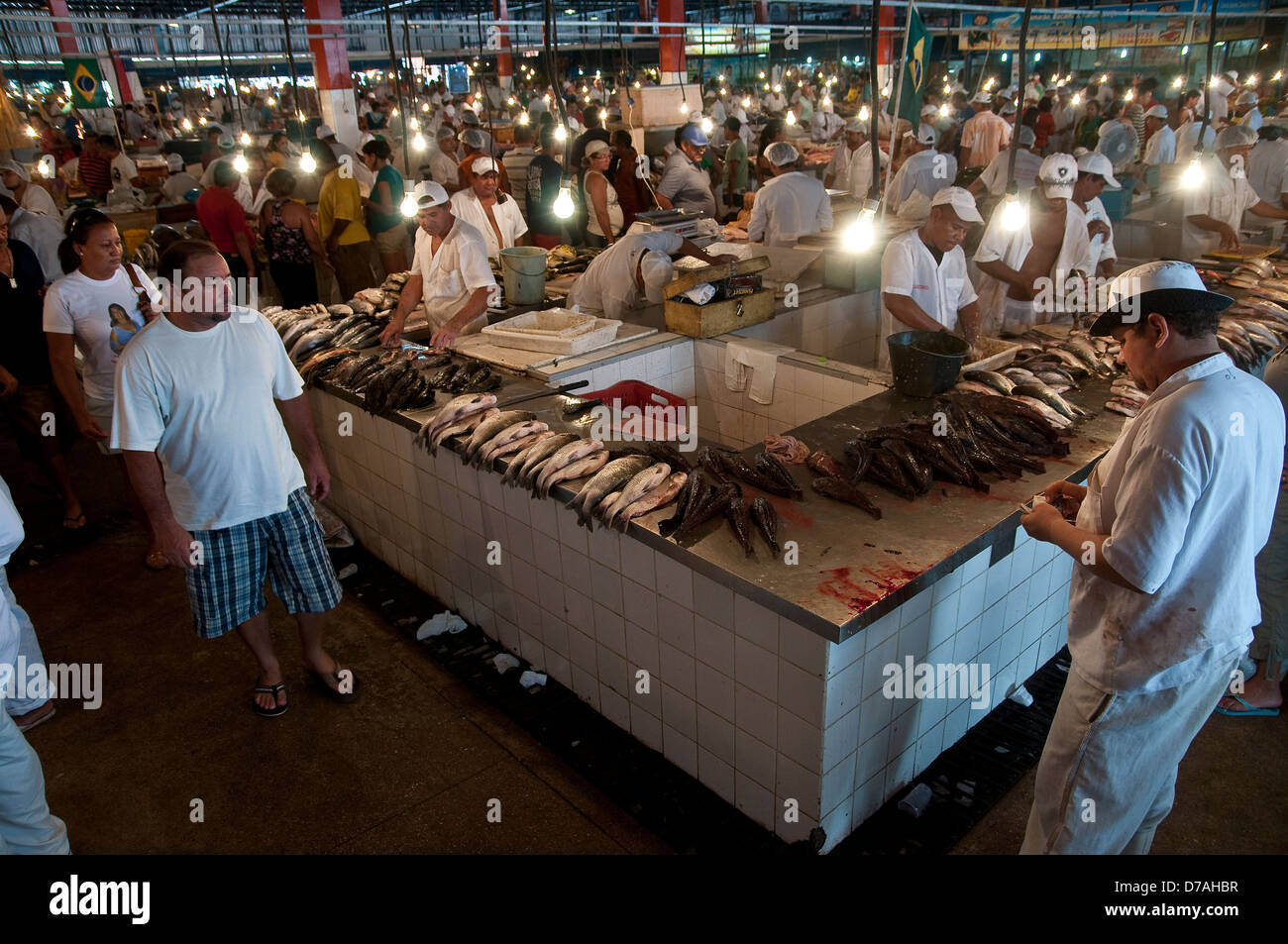 Fisch zum Verkauf an Manaus City Market (Mercado Municipal), Amazonas, Brasilien. Stockfoto