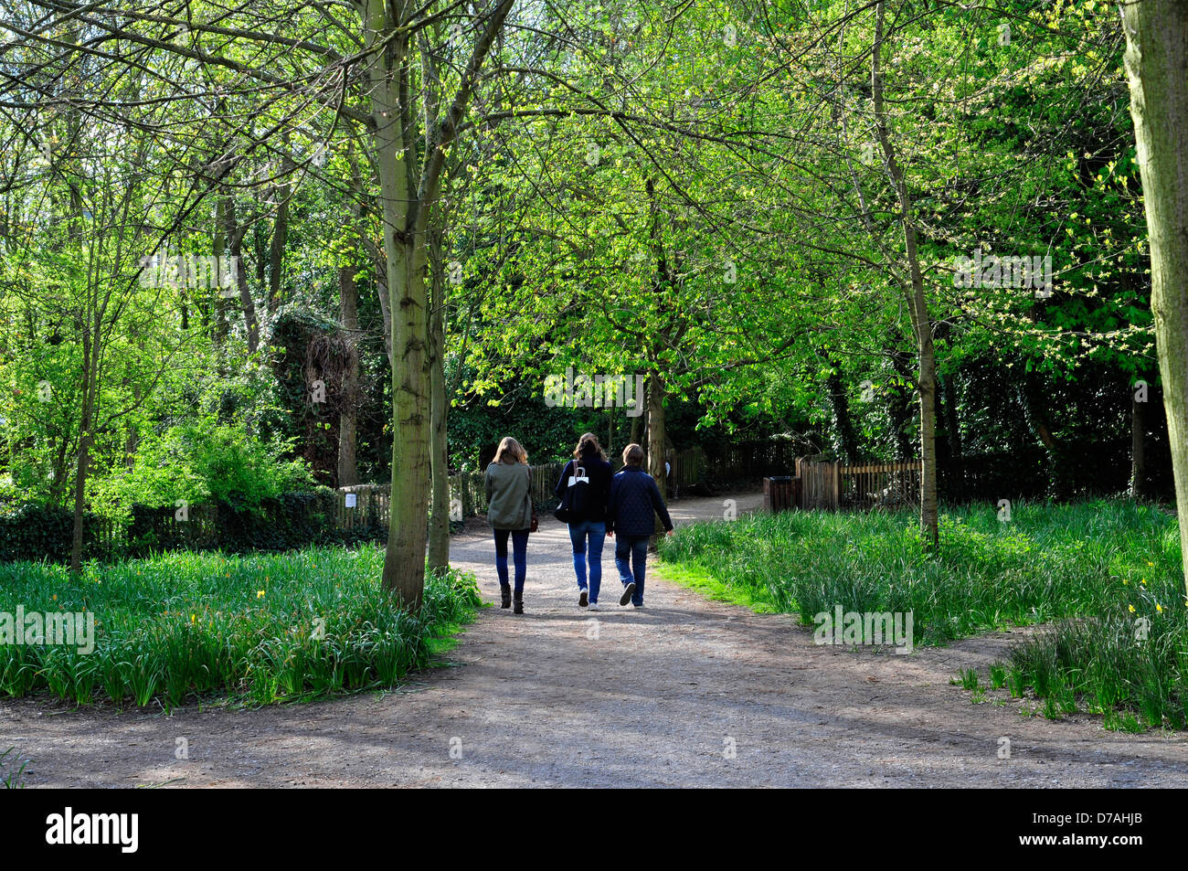 Drei Frauen, die zu Fuß in Holland Park, London, UK Stockfoto